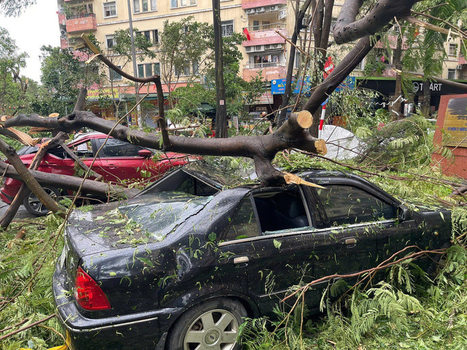 Nhiều ô tô bị cây đổ, đè trúng gây thiệt hại nghiêm trọng do bão Yagi. Ảnh: Phan Hậu/Báo Thanh Niên