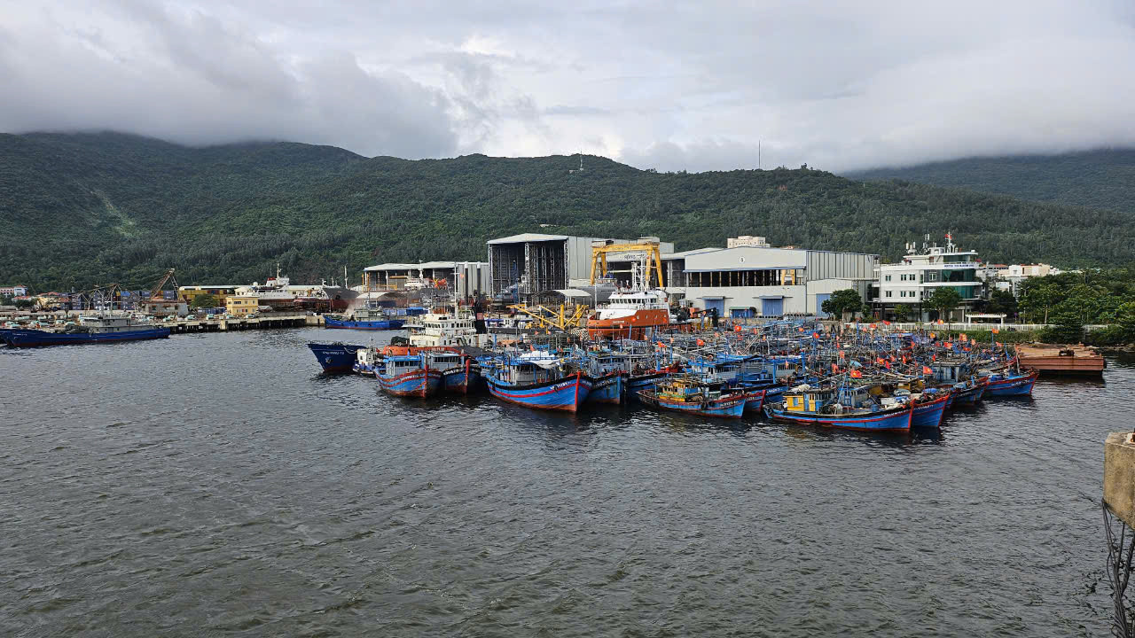 Nhiều địa phương miền Trung cấm biển, sẵn sàng lực lượng cứu hộ, cứu nạn- Ảnh 4. Nhiều địa phương miền Trung cấm biển, sẵn sàng lực lượng cứu hộ, cứu nạn- Ảnh 4.
