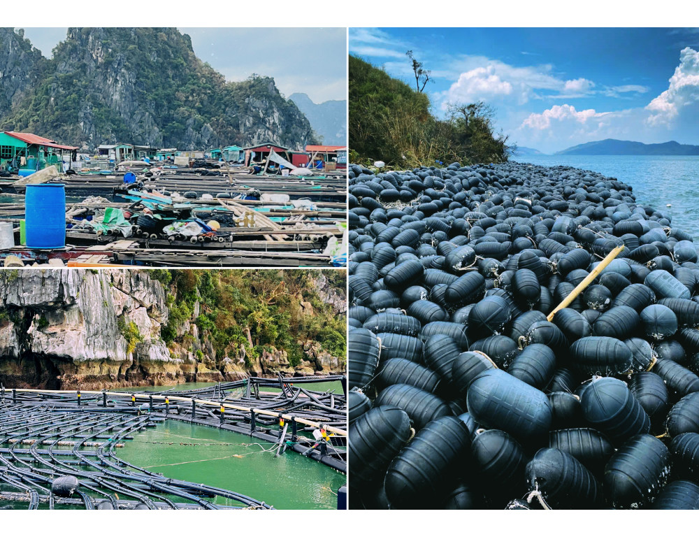 Thủ tướng yêu cầu tập trung triển khai các biện pháp nhanh chóng phục hồi sản xuất nông nghiệp sau bão số 3 và mưa lũ- Ảnh 1. Thủ tướng yêu cầu tập trung triển khai các biện pháp nhanh chóng phục hồi sản xuất nông nghiệp sau bão số 3 và mưa lũ- Ảnh 1.