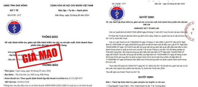 Liên tiếp xuất hiện văn bản giả mạo ngành y tế kiểm tra cơ sở kinh doanh ảnh 1