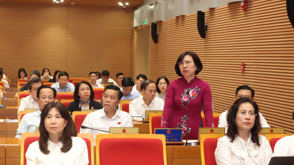 Đề xuất chính sách hỗ trợ người trồng đào, quất bị ảnh hưởng do bão Yagi- Ảnh 1.