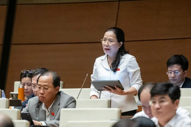 Đề nghị cân nhắc quy định về thời hạn giấy phép khai thác khoáng sản - Ảnh 1. Đề nghị cân nhắc quy định về thời hạn giấy phép khai thác khoáng sản - Ảnh 1.