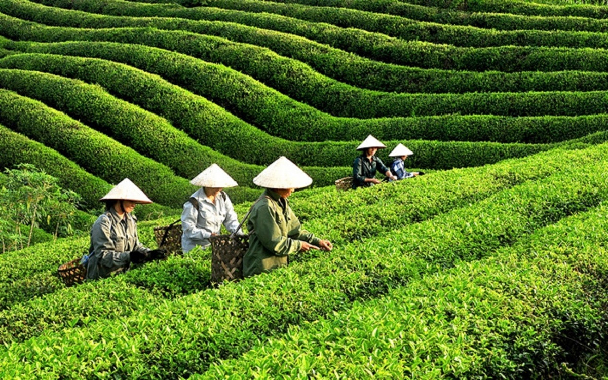 Tăng trưởng xanh gặp khó: Rào cản nào cần tháo gỡ?