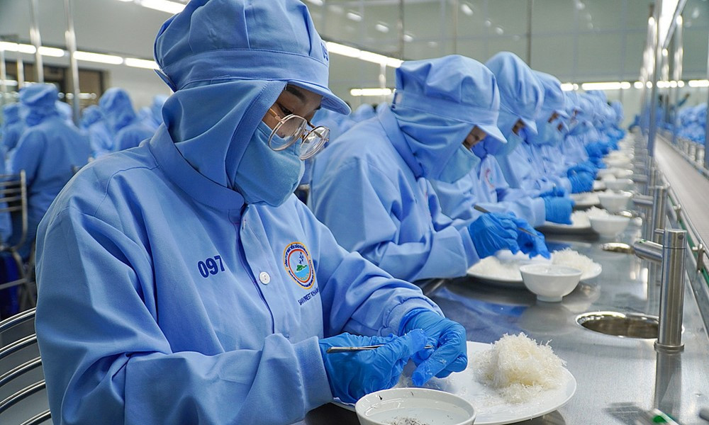 Chính thức công nhận nghề chế biến ‘vàng đen’ Khánh Hòa là di sản văn hóa phi vật thể quốc gia - ảnh 1