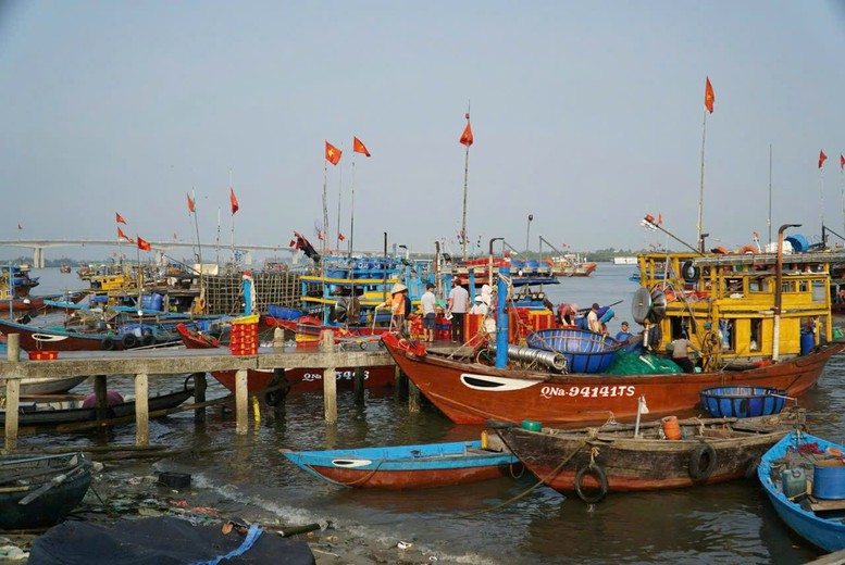 Quảng Nam: Tập trung giải quyết dứt điểm tàu cá '3 không'- Ảnh 2. Quảng Nam: Tập trung giải quyết dứt điểm tàu cá '3 không'- Ảnh 2.