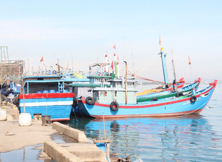 Quảng Nam: Tập trung giải quyết dứt điểm tàu cá '3 không'- Ảnh 1. Quảng Nam: Tập trung giải quyết dứt điểm tàu cá '3 không'- Ảnh 1.