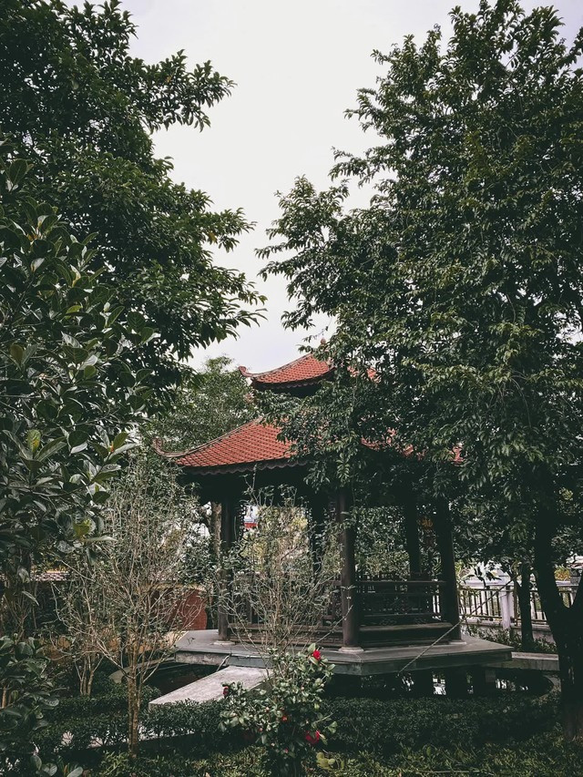 Biệt phủ gỗ lim rộng 1.000m2 ở Nam Định: Đã qua 3 đời con cháu, gia chủ tiết lộ về dòng dõi quyền thế- Ảnh 4. Biệt phủ gỗ lim rộng 1.000m2 ở Nam Định: Đã qua 3 đời con cháu, gia chủ tiết lộ về dòng dõi quyền thế- Ảnh 4.