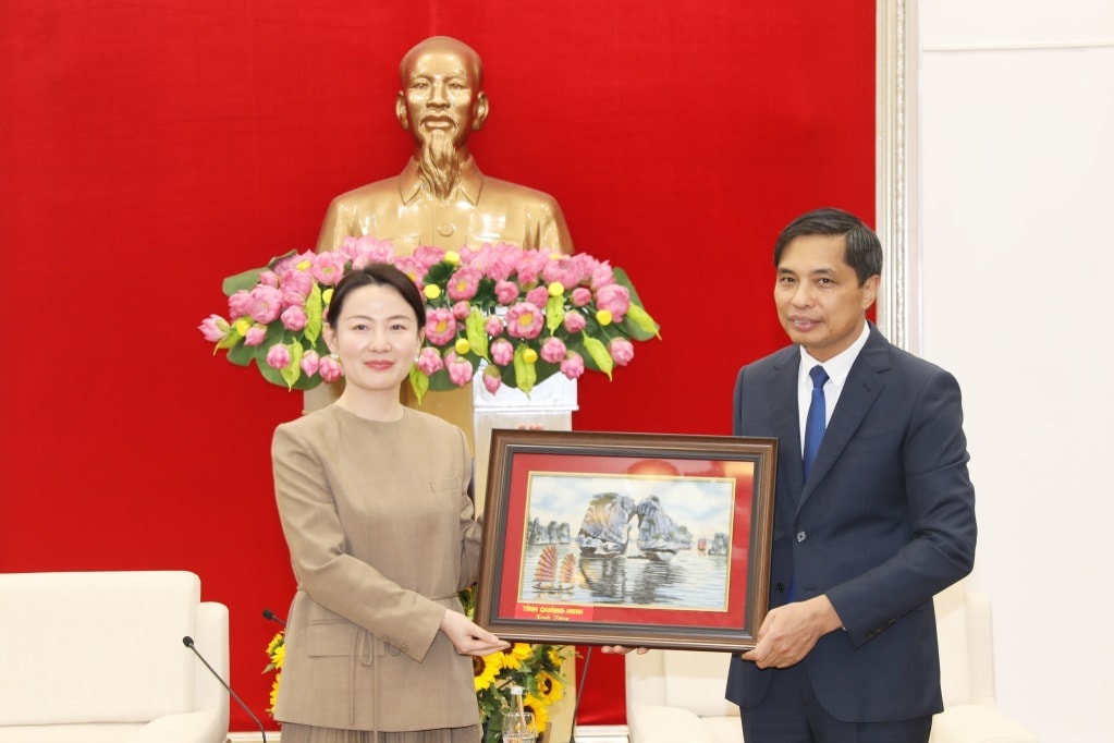 Tập đoàn xây dựng của Trung Quốc ngỏ ý đầu tư xây dựng hầm vượt biển lớn nhất Việt Nam- Ảnh 1. Tập đoàn xây dựng của Trung Quốc ngỏ ý đầu tư xây dựng hầm vượt biển lớn nhất Việt Nam- Ảnh 1.