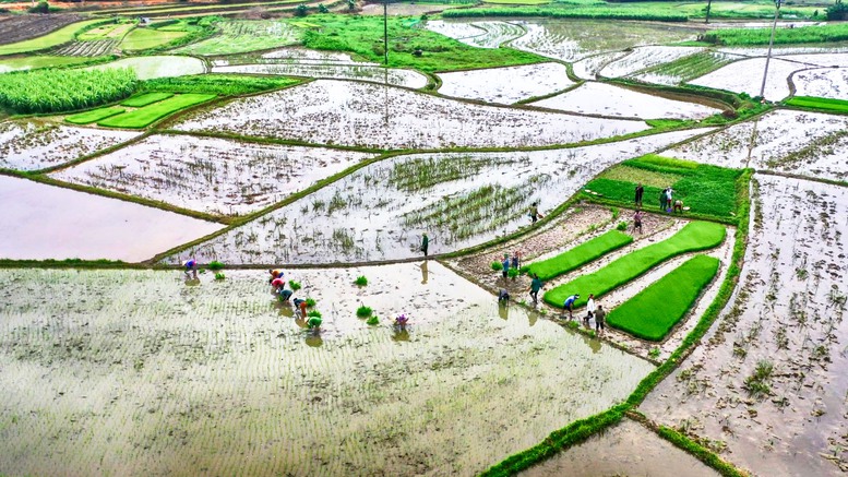 Ngay trong ngày đầu lấy nước Đợt 1 trên 66.000 ha vụ Đông Xuân đã đủ nước gieo cấy- Ảnh 1.