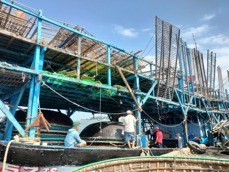 Miền Trung: Ngư dân rộn ràng vươn khơi đánh bắt đầu năm- Ảnh 3. Miền Trung: Ngư dân rộn ràng vươn khơi đánh bắt đầu năm- Ảnh 3.
