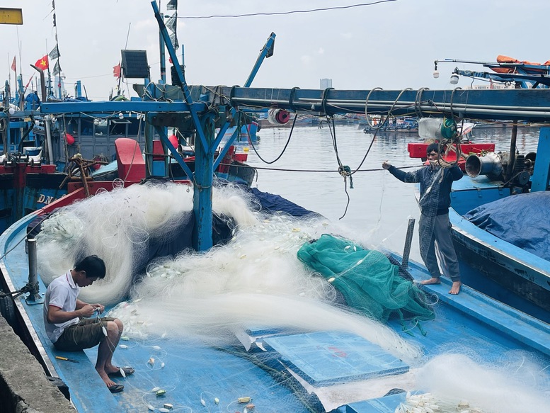 Miền Trung: Ngư dân rộn ràng vươn khơi đánh bắt đầu năm- Ảnh 2. Miền Trung: Ngư dân rộn ràng vươn khơi đánh bắt đầu năm- Ảnh 2.