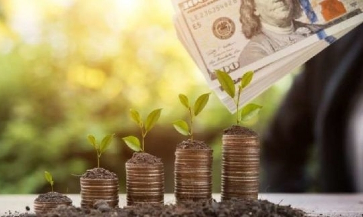 Chuyên gia: Việt Nam cần hàng trăm tỷ USD để chuyển đổi năng lượng, phải có khung pháp lý đầy đủ nếu không muốn 'đại bàng' rời đi