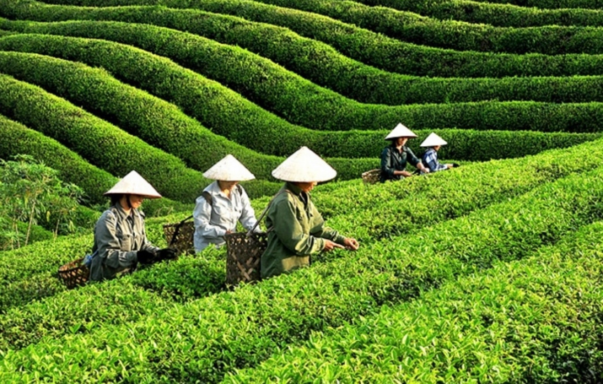 Tăng trưởng xanh gặp khó: Rào cản nào cần tháo gỡ?